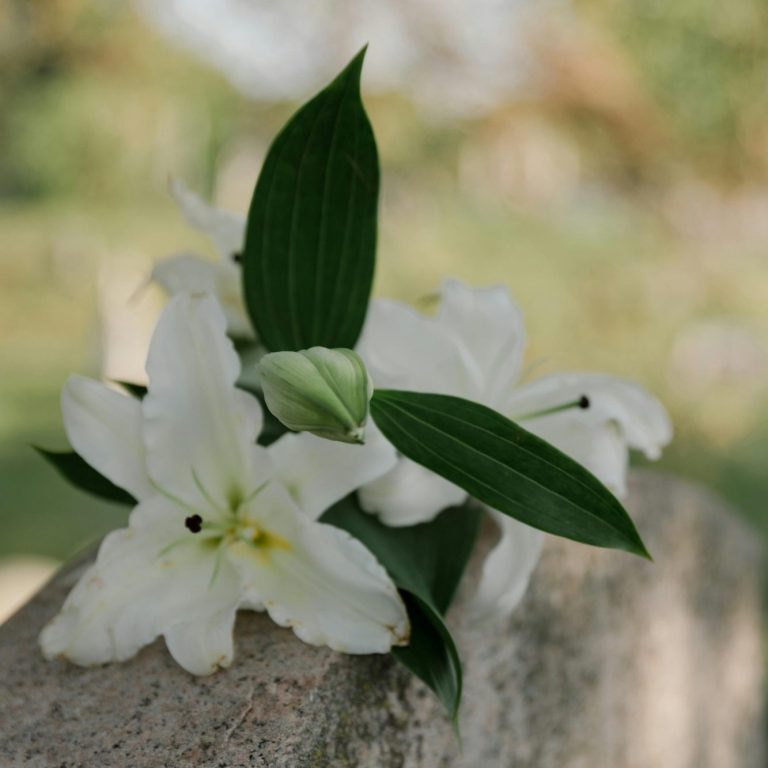 Findlinge und Formsteine für Grabmale - Tiergräber